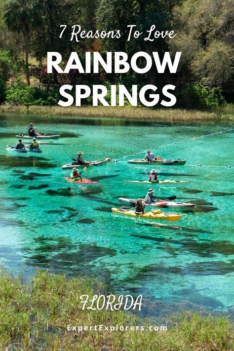 Rainbow Springs Florida, Dunnellon Florida, Rainbow Springs State Park, Rainbow Springs, Summer Vacation Destinations, Florida State Parks, Florida Springs, Springs Florida, American Travel