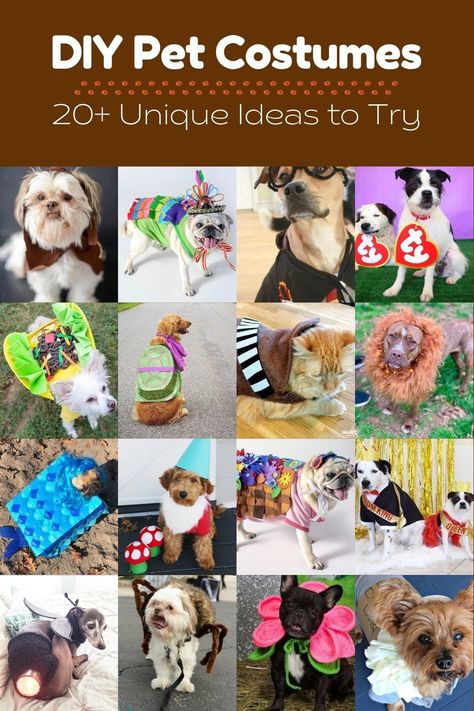 Dog Diy Costumes, Dog Costume Ideas Diy, Diy Pet Halloween Costumes, Costumes For Dogs Diy, Easy Diy Dog Costume, Easy Dog And Owner Costumes, Diy Costume For Dog, Creative Dog Costumes Diy, Easy Homemade Dog Costumes