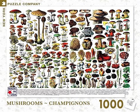 Fruits Plants, Illustration Botanique Vintage, Latin Names, Mushroom Poster, Mushroom Crafts, Illustration Botanique, Botanical Illustration Vintage, French History, Botanical Art Prints