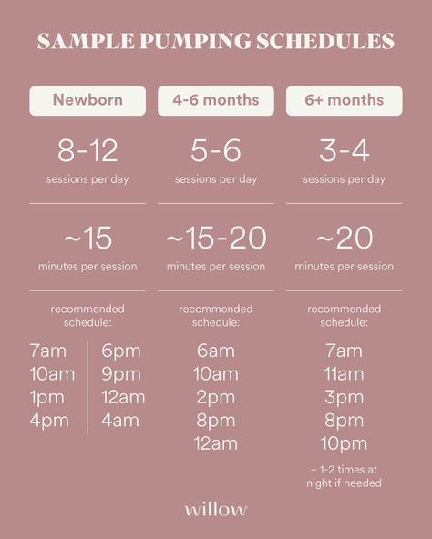 The Willow Guide To Exclusive Pumping Schedules Momcozy M5 Settings, New Mom Must Haves, Baby Charts, Pumping And Breastfeeding Schedule, Exclusive Pumping, Pumping Schedule, Newborn Schedule, Baby Routine, Weekly Diary