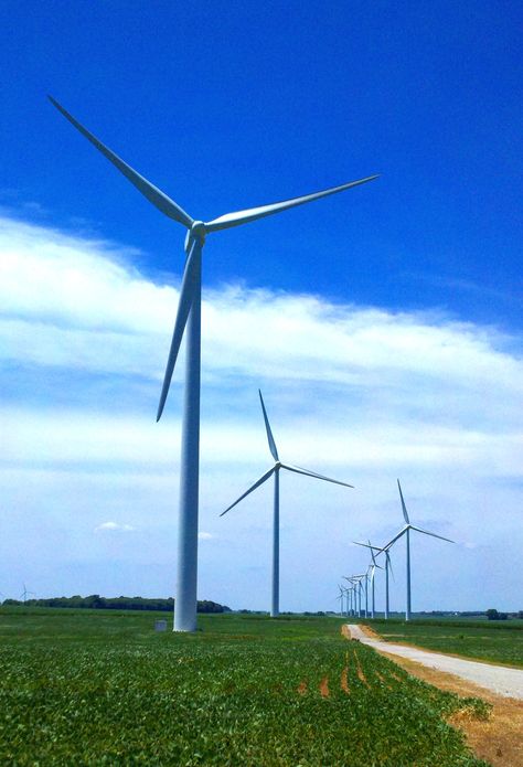 Wind Mills in Indiana Wind Mills, Wind Mill, Midwest Weekend Getaways, Windmill Energy, Texas Windmills, Indiana Scenery, Columbus Indiana, Indiana Love, Baby Wolf