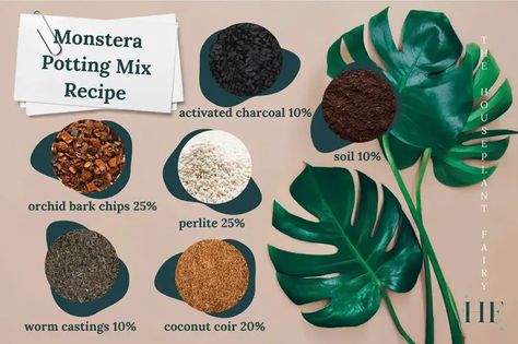 Which Type of Soil Is Best for Monstera? Monstera Soil, Soil Type, Orchid Bark, Plant Care Houseplant, Monstera Plant, Monstera Deliciosa, Growing Indoors, Plant Mom, Types Of Soil