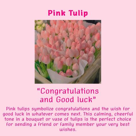 Pink Tulips Meaning, Tulip Meaning, Flower Knowledge, Tulips Quotes, Tulips Meaning, Quotes Flowers, Healing Flowers, Outdoor Pallet Projects, Color Knowledge