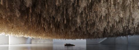 Suspended Art, Immersive Installation, Grass Installation, French Exit, Art Connection, Exhibition Room, Colossal Art, Photography Illustration, The Ceiling