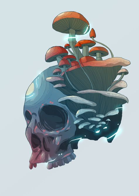 Japon Illustration, Art Easy, Arte Sketchbook, Arte Inspo, Mushroom Art, A Skull, Skull Art, A Drawing, Easy Step