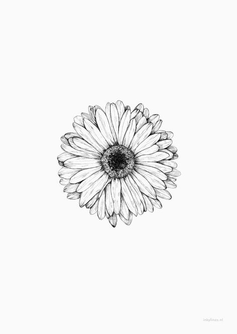 Gerbera Daisy Tattoo, Daisy Tattoo Designs, Gerbera Flower, Daisy Tattoo, Small Flower Tattoos, Small Tattoos Simple, Flower Tattoo Sleeve, Sunflower Tattoos, Sunflower Tattoo