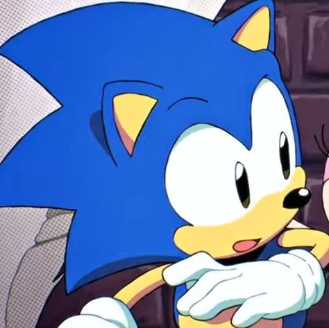 Matching Sonic Pfps, Sonic Matching Pfp, Pfp Sonic, Sonic Pfp, Sonic Pfps, Shadow And Amy, Classic Sonic, Team Sonic, Sonic Friends