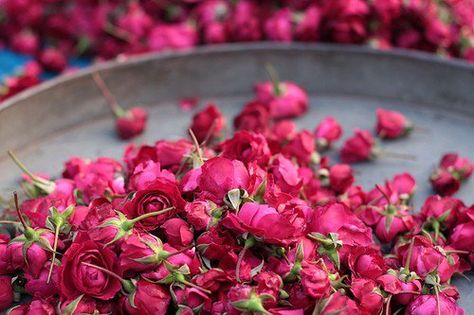 Rose Milk Tea, Vintage Nature Photography, Indian Rose, Indian Pink, Nature Photography Flowers, Everything Pink, Flower Market, Vintage Photography, Flowers Photography