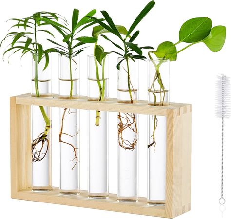 Natural Wood Log and Premium Quality Glass. Removable sturdy glass vases are highly convenient for cleaning and refilling. (Cleaning brush is included in the pakcage.) Tabletop Terrarium, Hanging Glass Planters, Terrarium Jar, Test Tube Vase, Propagation Station, Hydroponic Plants, Hanging Flower Pots, Glass Planter, Glass Terrarium