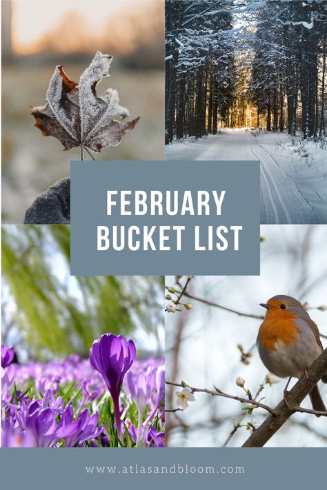 February Bucket List 2023, What To Do In February, Things To Do In February Ideas, February Things To Do, February Activities For Adults, February Bucket List Ideas, February To Do List, February Bucket List, Things To Do In February