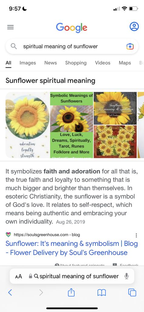 Sunflowers Meaning, Sunflower Meaning In Love, Sunflower Meaning, Sunflower Meaning Spiritual, Sunflower Symbolism, Sunflower Witchcraft, Sunflower Uses In Witchcraft, Meaning Of Sunflower, Sunflower Names