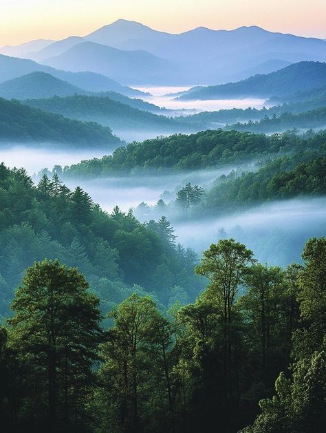 (2) Facebook Forest Road, Pretty Landscapes, Appalachian Mountains, Great Smoky Mountains National Park, Smoky Mountain, Smoky Mountain National Park, Incredible Places, Mountain Top, Great Smoky Mountains