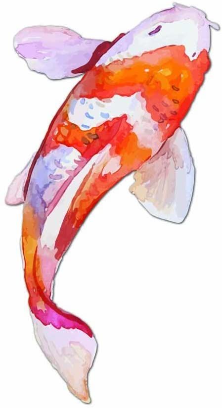 Watercolor Koi Fish, Koi Painting, Koi Fish Drawing, Koi Watercolor, Japanese Koi Fish, Koi Art, Fish Drawing, Japanese Watercolor, Carpe Koi