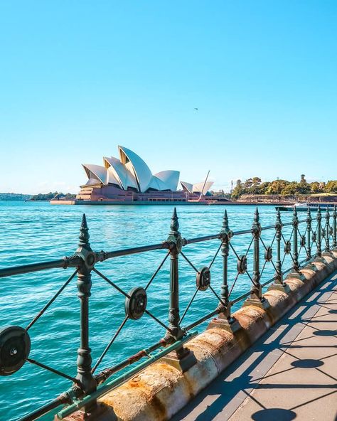 view of sydney opera house from hickson road reserve Aesthetic Sydney, Sydney Aesthetic, Shape Aesthetic, Bronte Beach, House Australia, Aesthetic Architecture, Royal Botanic Gardens, Sydney Travel, Harbor Bridge