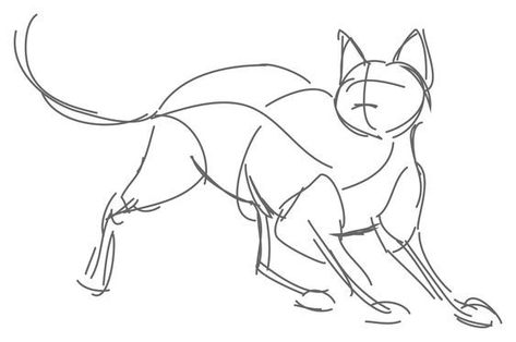 Strong Cat Drawing, Cat Gesture Drawing, Cats Running Drawing, How To Get Into Drawing, Cat Pose Drawing, Cats Reference Drawing, Person Holding Cat Drawing Reference, How To Draw Warrior Cats, Holding Cat Drawing