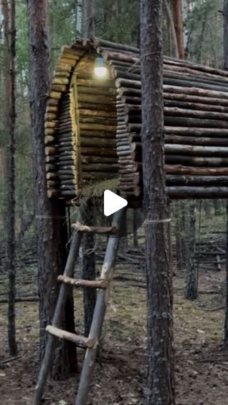 Роман Будаговский on Instagram: "I’m building a house above ground in the forest. Rest after a working day 👍🏡🌳🌲🛖 #reels #bushcraftua #house #building #build #forestlife #foresthouse #cabin #cabinliving #reelsvideo #reelshomedecor #reelsviral #reelsinstagram #reelsindia #reelsinsta #bushcraft #forestbathing #forestwalk #hut #treehouse #treehouses #treehousebrewing #treehousehotel #outdoor" Bushcraft Shelter, Treehouse Hotel, Survival Life Hacks, Forest Bathing, Cabin Living, Survival Life, House Building, Forest House, In The Forest