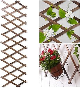 Lattice Fence Panels, Trellis Frame, Wooden Lattice, Wood Lattice, Climbing Trellis, Philips Hue Lights, Wall Trellis, Lattice Wall, Lattice Trellis