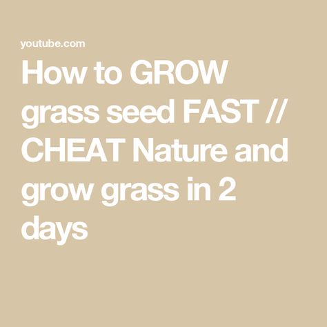 How to GROW grass seed FAST // CHEAT Nature and grow grass in 2 days Grow Grass Fast, How To Plant Grass, How To Grow Grass, Growing Hacks, Tall Fescue Grass, Planting Grass Seed, Seed Growing, Tall Fescue, Planting Grass