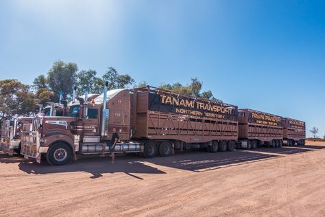 Brecht getting on his Road Train in the Outback, Australia - Wandering the World Cattle Trucks, Ww2 Fighter Planes, Semi Trailer Truck, Train Truck, Australian Outback, Outback Australia, Road Train, Visit Australia, Farm Trucks