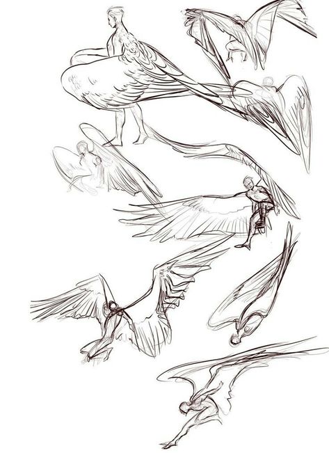 Flying Poses, Bird People, Wings Drawing, Wings Art, Concept Art Drawing, Creature Concept Art, Anatomy Art, Art Poses, Art Tutorials Drawing