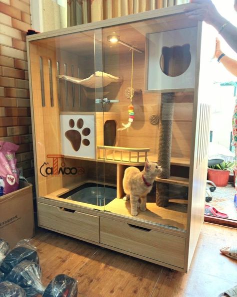 Cat Hotel Design Ideas, Diy Cat Cage Indoor, Cat Enclosure Indoor, Cat Room Ideas Small Spaces, Cat Cages Indoor, Amazing Home Office, Cat Room Decor, Cat Villa, Cat Furniture Design