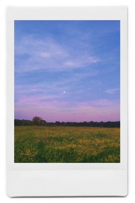 Sunset Polaroid, Picture Cloud, Moon Sunset, Sunset Flowers, Polaroid Photography, Blog Banner, Polaroid Photo, Pink Painting, Photography Help