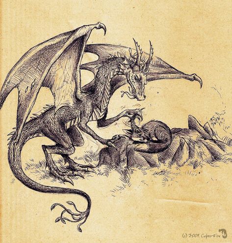 Dragon Vintage Illustration, Dragonology Illustrations, Medieval Illustration Art, Medieval Inspired Art, Old Dragon Art, Medevil Dragon, Medieval Dragon Art, Medieval Dragon Drawing, Vintage Dragon Illustration