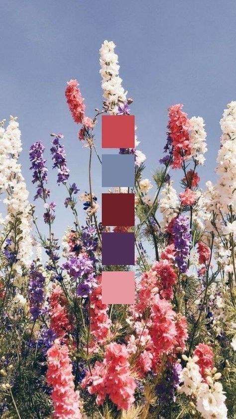 Wedding Color Schemes Unique, Crochet Color Palette Colour Schemes, Wildflower Color Pallet, Bold Bedroom Color Scheme, Spring Floral Color Palette, Wild Flower Color Palette, July Color Palette, Summer Wedding Colors Schemes, Whimsical Color Palette