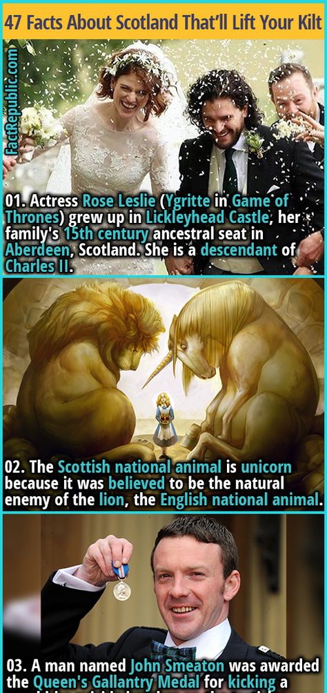 Scottish Magic, England Funny, World History Facts, Wierd Facts, Rose Leslie, What The Fact, Fact Republic, Aberdeen Scotland, Scotland Forever