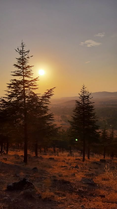 Brown Wallpaper Landscape, Brown Mountain Aesthetic, Tonicore Aesthetic, Aesthetic Brown Landscape, Brown Landscape Aesthetic, Easthetic Wallpers Brown Landscape, Brown Aesthetic Landscape, Brown Core Aesthetic, Brown In Nature