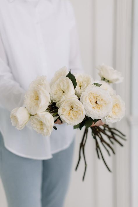 Patience (Auspastor) is one of David Austin's most scented cut roses. An all time favourite for florists to create gift bouquets. David Austin Bouquet, Lemon Perfume, David Austin Wedding, Short Vase, Gift Bouquet, Growing Roses, David Austin, Old Rose, Garden Roses