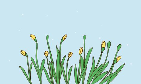 Flower animation on Behance Video Design Youtube, Flower Pedals, Frame By Frame Animation, Motion Design Animation, Animation Reference, Beautiful Gif, Plant Illustration, Animation Design, Flower Illustration