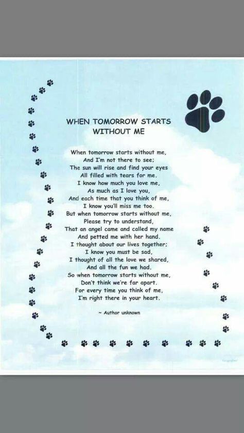 When tomorrow starts without me Pet Quotes Dog, Dog Heaven Quotes, When Tomorrow Starts, Pet Poems, Dogs Quotes, Perro Shih Tzu, Miss My Dog, Dog Poems, Dog Quotes Love