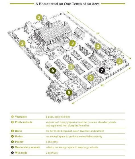 The Backyard Homestead :  Produce all the food you need on just a quarter acre Homestead Layout, Acre Homestead, Farm Plans, Homestead Farm, Farm Layout, Homestead Gardens, Urban Homesteading, Mini Farm, Have Inspiration