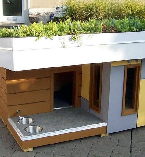 Diy Dog Houses, Dog House Design, Dog House Ideas, Modern Dog Houses, Puppy Diy, Working Dogs Breeds, Dog Grooming Shop, Dog House Plans, Cool Dog Houses