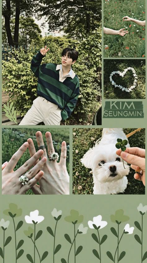 Skz Green Aesthetic Wallpaper, Seungmin Green Wallpaper, Green Skz Wallpaper, Straykids Green Aesthetic, Green Aesthetic Kpop Wallpaper, Seungmin Green Aesthetic, Stray Kids Green Aesthetic, Blue And Green Aesthetic Wallpaper, Green Kpop Wallpaper