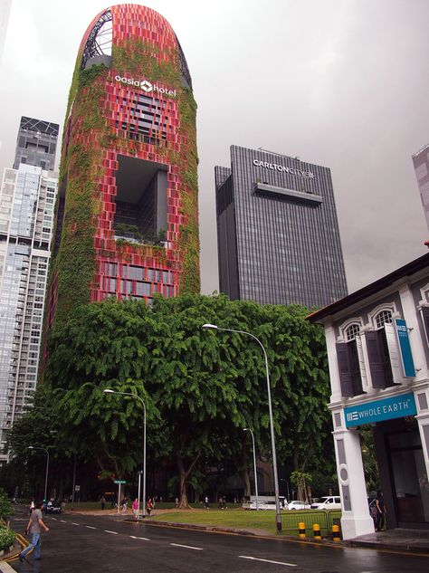 Oasia Hotel Downtown, Singapore by Far East Hospitality is a green oasis in the heart of the financial district of Singapore. Oasis Hotel Singapore, Oasis Hotel, Singapore Things To Do, Singapore Attractions, Singapore Noodles, Asia City, Singapore Hotels, Green Oasis, Big Cities