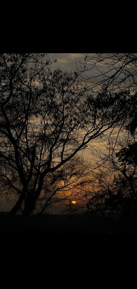 #sunset #evening Indian Sunset Aesthetic, Evening Snap Ideas, Evening Snap Streak, Evening Snaps Snapchat, Sunset Snapchat, Summer Sunset Pictures, Evening Snap, Sunset Snap, Indian Sunset