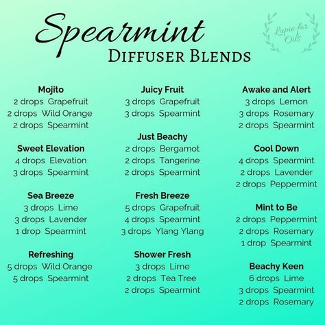 Spearmint blends  #grapefruit  #orange  #spearmint  #lime #Rosemary  #peppermint  #bergamot Spearmint Diffuser Blends, Doterra Spearmint, Eo Blends, Doterra Diffuser, Doterra Diffuser Blends, Doterra Oil, Essential Oil Combinations, Doterra Essential Oils Recipes, Essential Oil Diffuser Blends Recipes