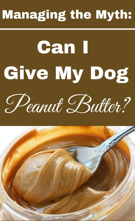 What Can Dogs Eat, Healthy Dog Snacks, Dog Peanut Butter, Skippy Peanut Butter, Peanut Butter For Dogs, Peanut Butter Snacks, Make Dog Food, Homemade Foods, Apple And Peanut Butter