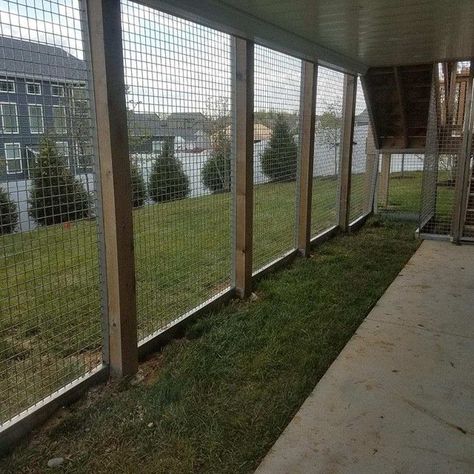 Enclosed Dog Area, Fully Enclosed Dog Run, Enclosed Dog Run Ideas Backyard, Under Porch Dog Kennel, Dog Run Under Deck, Under Deck Dog Kennel, Dog Room With Outdoor Access, Barndominium Backyard, Indoor Dog Run