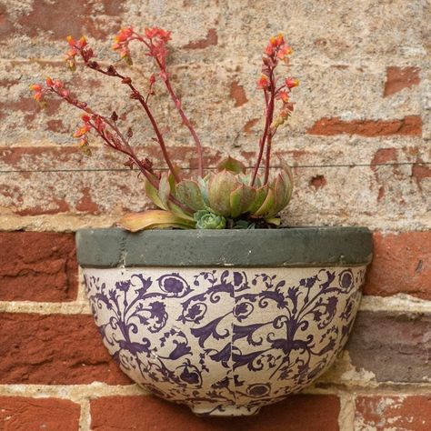 Ceramic Bird Bath, Ceramic Wall Planters, Clay Wall Hanging, Wall Planters, Hanging Plant Wall, Wall Hanging Basket, Orchid Pot, Pottery Painting Designs, Classical Design