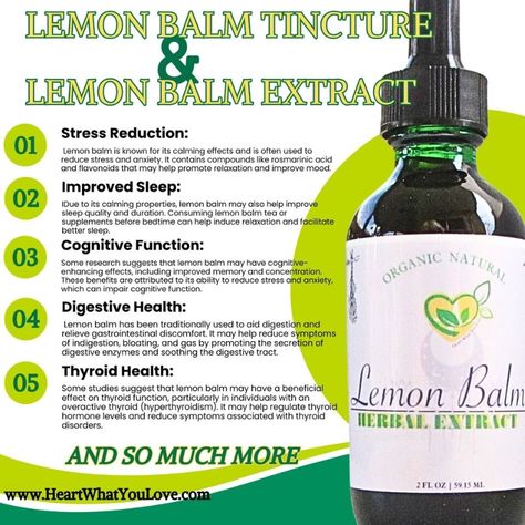 Take a sip of our delicious peppermint, butterfly pea flower, and lemon balm blend loose tea or try our lemon balm tincture and extract drops for a natural way to support your mood and nervous system. Our organic, herbal, and dietary supplement options are perfect for vegans and vegetarians. Don't miss out, grab yours today! #naturalremedies #herbaltea #mindandbody #veganlife #organicliving 🍵🌿🌼  #MoodSupport #DigestiveHealth #MentalHealth #Antioxidants  #Insomnia #Vegan #LowFat #eBayStore Lemon Balm Tincture Benefits, Lemon Balm Tea Ozempic, Lemon Balm Drink Ozempic, Natural Paths, Lemon Balm Benefits, Lemon Balm Uses, Lemon Balm Tincture, Lemon Balm Extract, Lemon Balm Tea