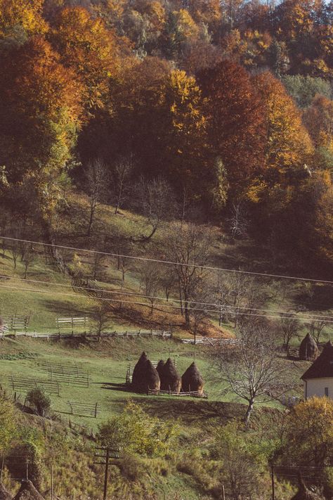 Romanian country life Vintage Autumn Aesthetic, Romanian Aesthetic, Romanian Countryside, Romania Aesthetic, Romanian Village, European Aesthetic, Autumn In New York, Autumn Beauty, Eastern Europe