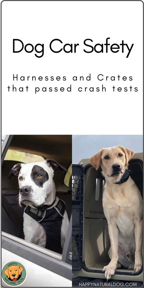 There are many dog car harnesses and car crates - how do you know which to get for your dog? Dog car crates can collapse in an accident, and dog safety harnesses can come apart. Watch the crash tests in this article to be sure you are protecting your dog on road trips. You want the best dog car harness or dog crate for your car trip. #dogcarsafety #dogcarharness #dogcarcrate #bestdogcarharness #dogsafetyincar Dog Car Travel, Dog Paw Care, Dog Car Harness, Road Trip With Dog, Dog Travel Crate, Dog Car Safety, Dog Barrier, Dog Car Accessories, Car Harness