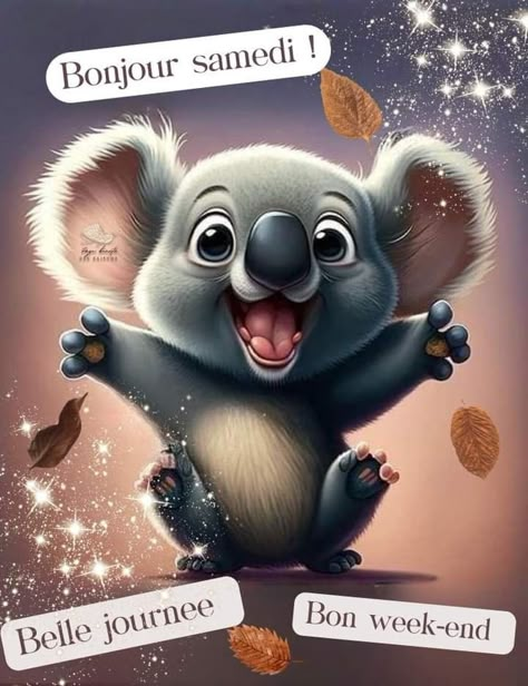 Koala, Gif, Quotes