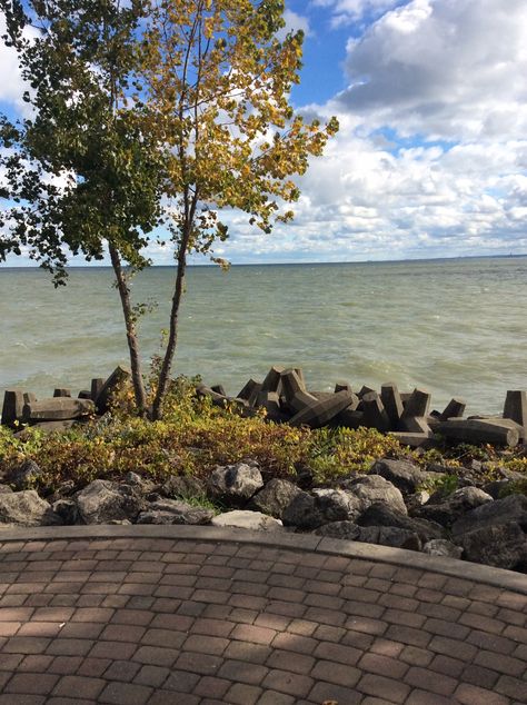 Nice view of Lake Erie from Lakewood Park, Lakewood, Ohio, taken about 11:00am today, Saturday, October 11, 2014. Lakewood Ohio, Tattoo Color, Color Board, Lake Erie, Colour Board, Color Tattoo, Great Photos, Nice View, Ohio