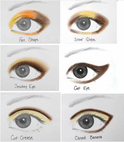 How To Put Eyeshadow, Teknik Makeup, Shape Chart, Bluish Green Eyes, Beauty Advisor, Apply Eyeshadow, Beauty Eyeshadow, Eye Makeup Techniques, How To Apply Eyeshadow