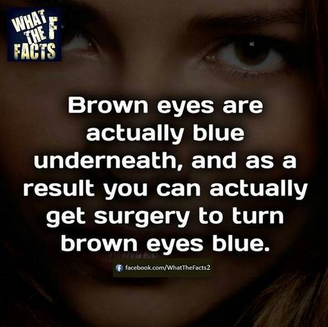 #facts Brown Eyes Facts, Eyes Facts, Medical Reference, Eye Facts, What The Fact, Behind Blue Eyes, Bizarre Facts, Facts You Didnt Know, Journal Books