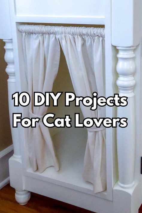 Homemade Happiness: 10 DIY Crafts for Cats Crafts For Cats, Cat Condo Diy, Diy Cat Scratching Post, Diy Cat Scratcher, Creative Diy Projects, Cat Condo, Diy Cat, Cat Scratching Post, Cat Scratcher